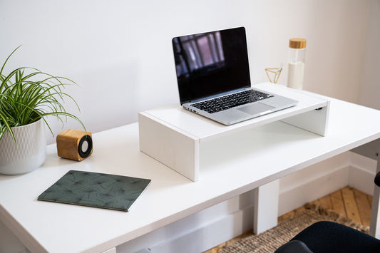 Monitor Riser